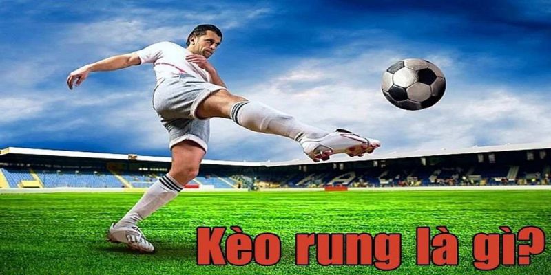 Giải thích thuật ngữ kèo rung là gì