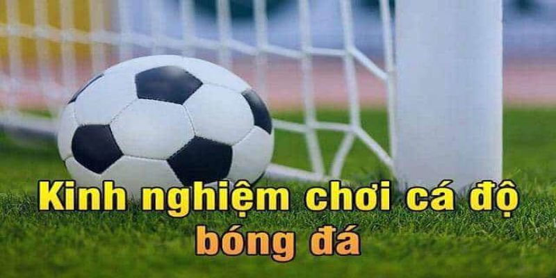 Bí kíp soi kèo bóng đá tận dụng nhận định chuyên gia